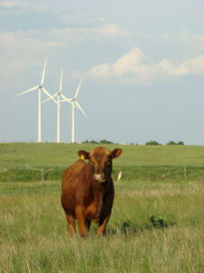 Can Solar Power the World? Image